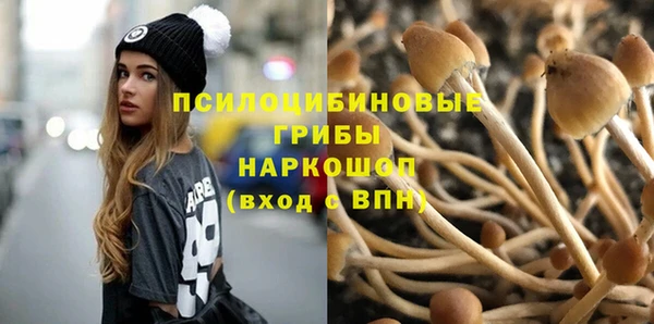 молекула духа Алексин