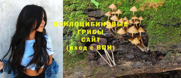 молекула духа Алексин