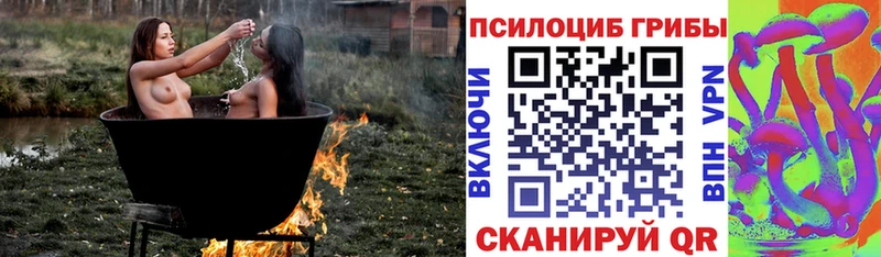 Галлюциногенные грибы ЛСД  наркошоп  Киселёвск 