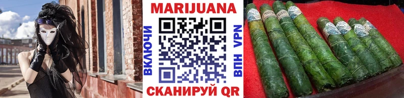 Бошки марихуана сатива  где купить наркоту  Киселёвск 